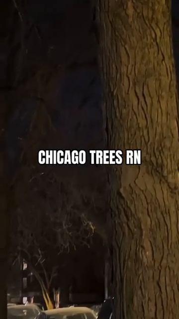 В Чикаго трескучие морозы в прямом смысле ... смотреть онлайн