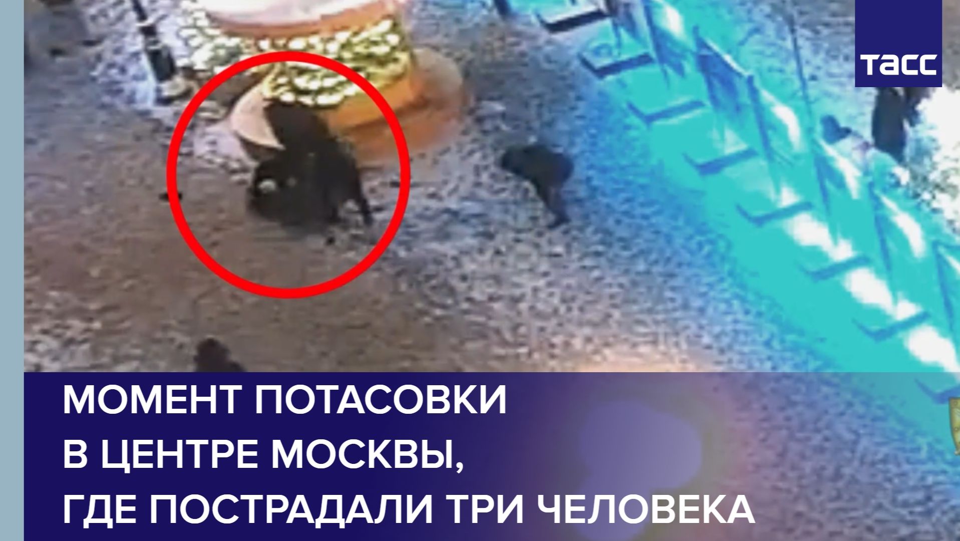 Момент потасовки в центре Москвы, где пострадали три человека смотреть онлайн