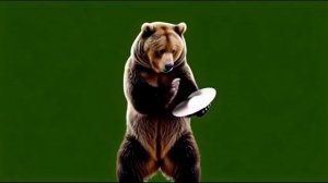 Медведь музыцирует 3_encoded