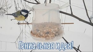 Почему я Раньше до этого не додумался, Как сделать Кормушку для птиц за 3 минуты!