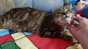 Тосенька моя