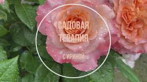 Это Терапия Садом...Песня про мой сад и прогулка по розовому саду...