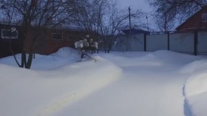 Из города в деревню. Закупилась. Забрала посылку.