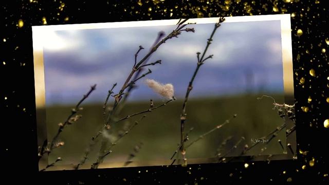 Nilotpala - Гости смотреть онлайн