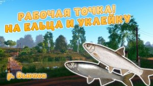 Играем в Russian Fishing 4 ловим ельца,уклейку и другую рыбку на р.Вьюнок. (Актуальная точка)