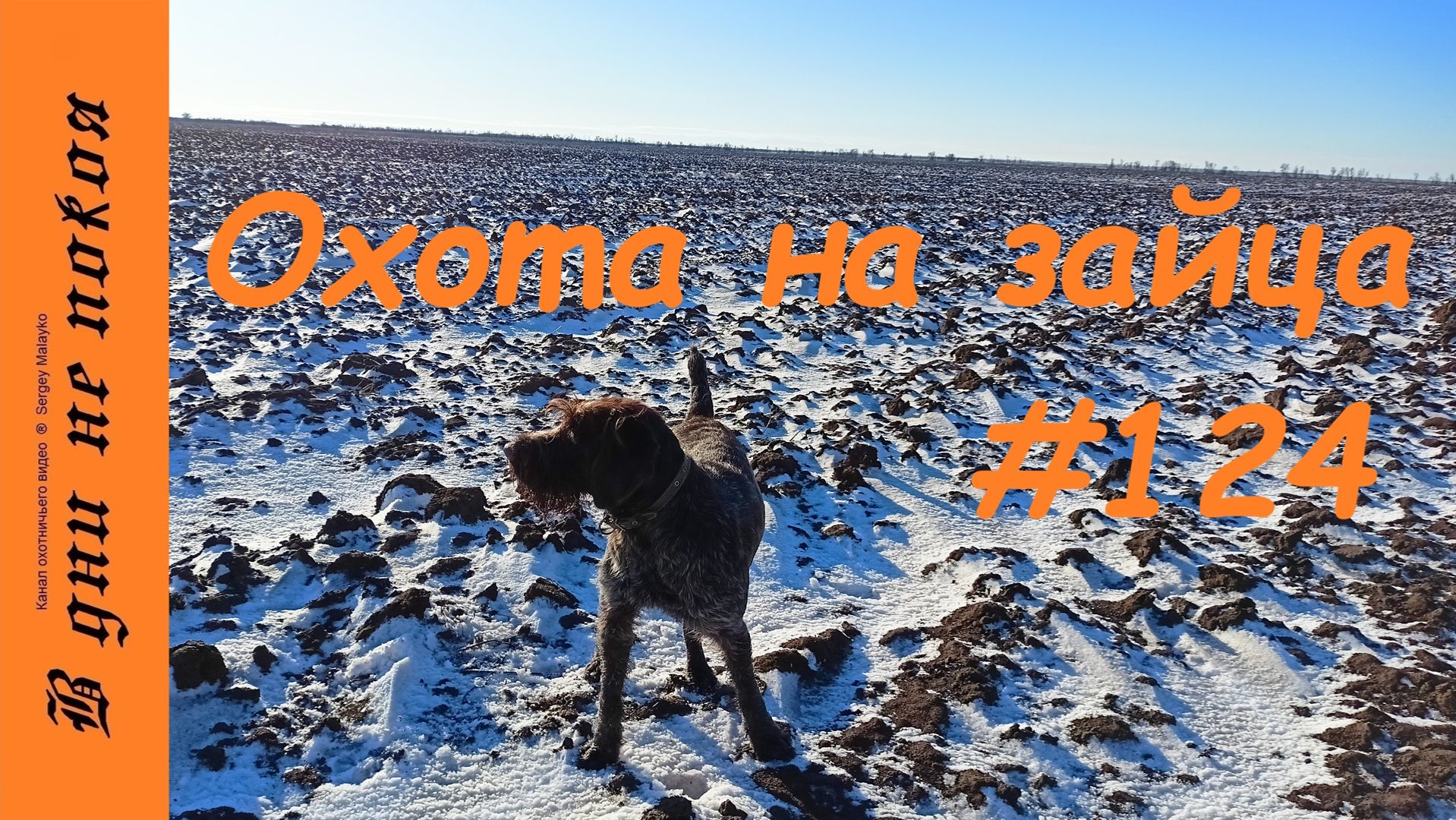 Охота на зайца. Выпуск № 124 18+ смотреть онлайн