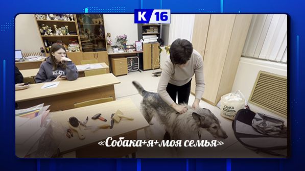 "Собака+я+моя семья" смотреть онлайн