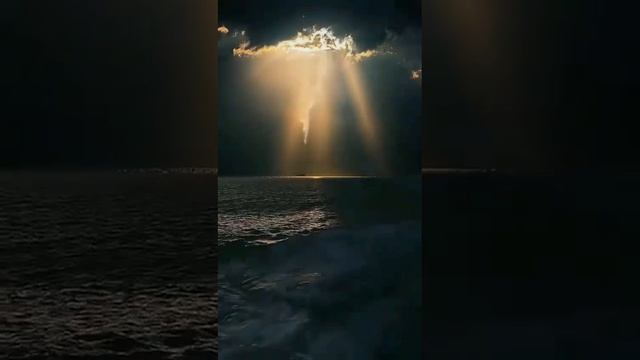 video_11985524102514.mp4 смотреть онлайн