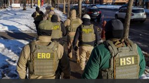 Политолог Расмуссен назвал действия ICE по борьбе с мигрантами «перебором»