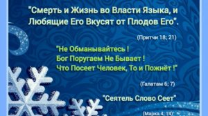 Творящий Словом. Андрей Шаповалов