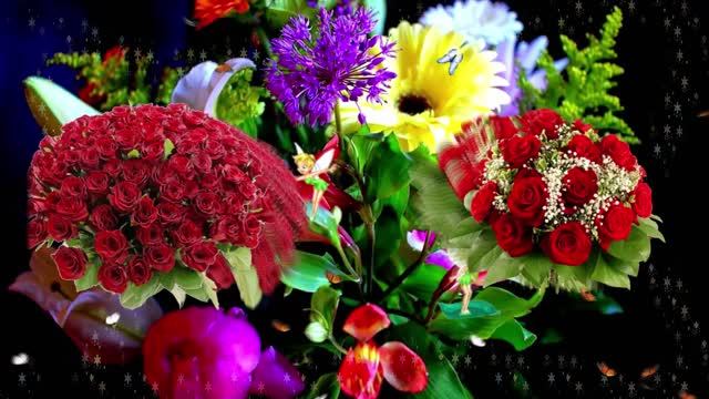 Футажи! Футаж Букеты роз К 1 от Киностудии Мудрого Кота Тимофея!!! смотреть онлайн