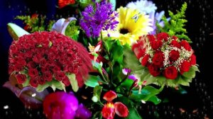 Футажи! Футаж Букеты роз К 1 от Киностудии Мудрого Кота Тимофея!!!