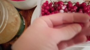 Калина Красная.