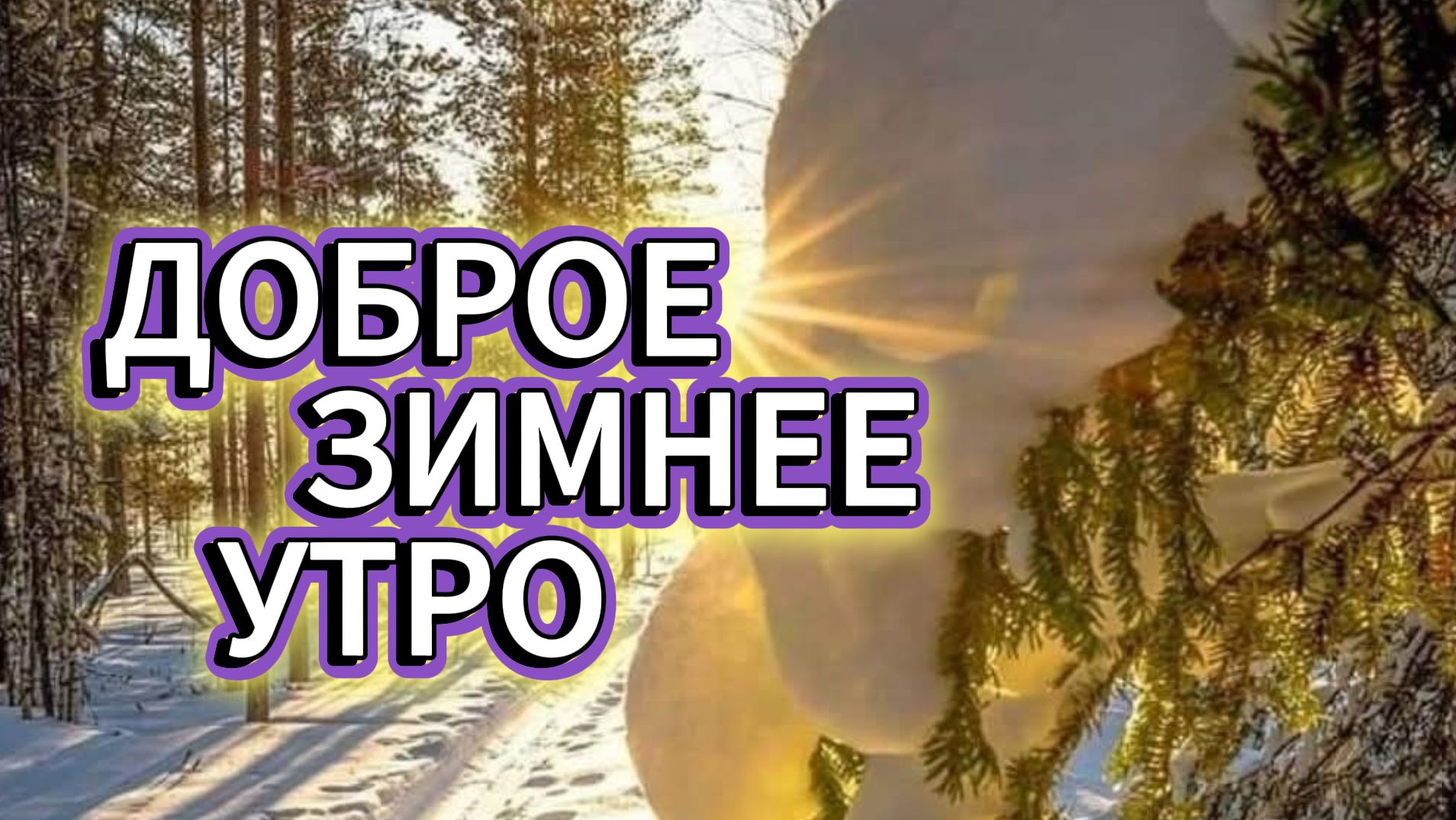 ДОБРОЕ ЗИМНЕЕ УТРО С ПОЖЕЛАНИЯМИ ЗДОРОВЬЯ ❄✨ смотреть онлайн