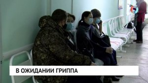 В ожидании гриппа