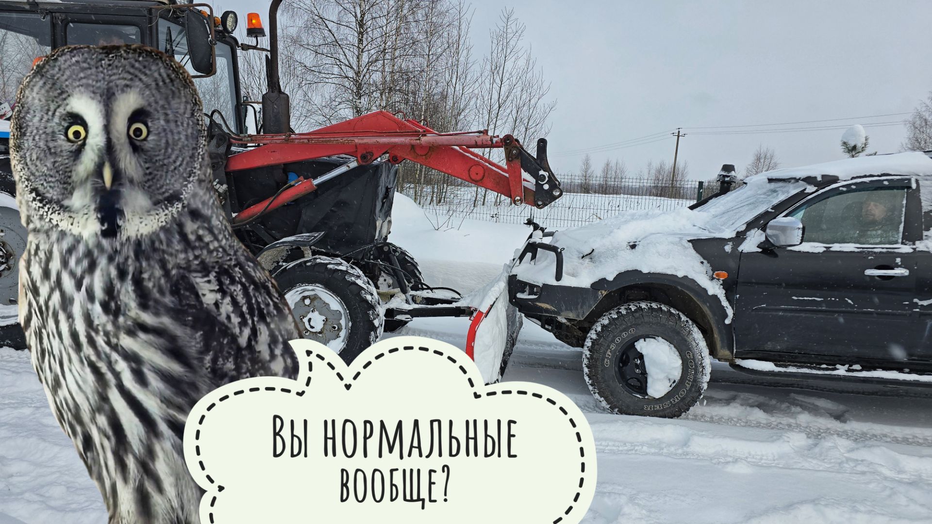 Пёс Кубик навещает сыча Лучика в совешне и получает нужный подарок. Трактор двигает недвижимость смотреть онлайн