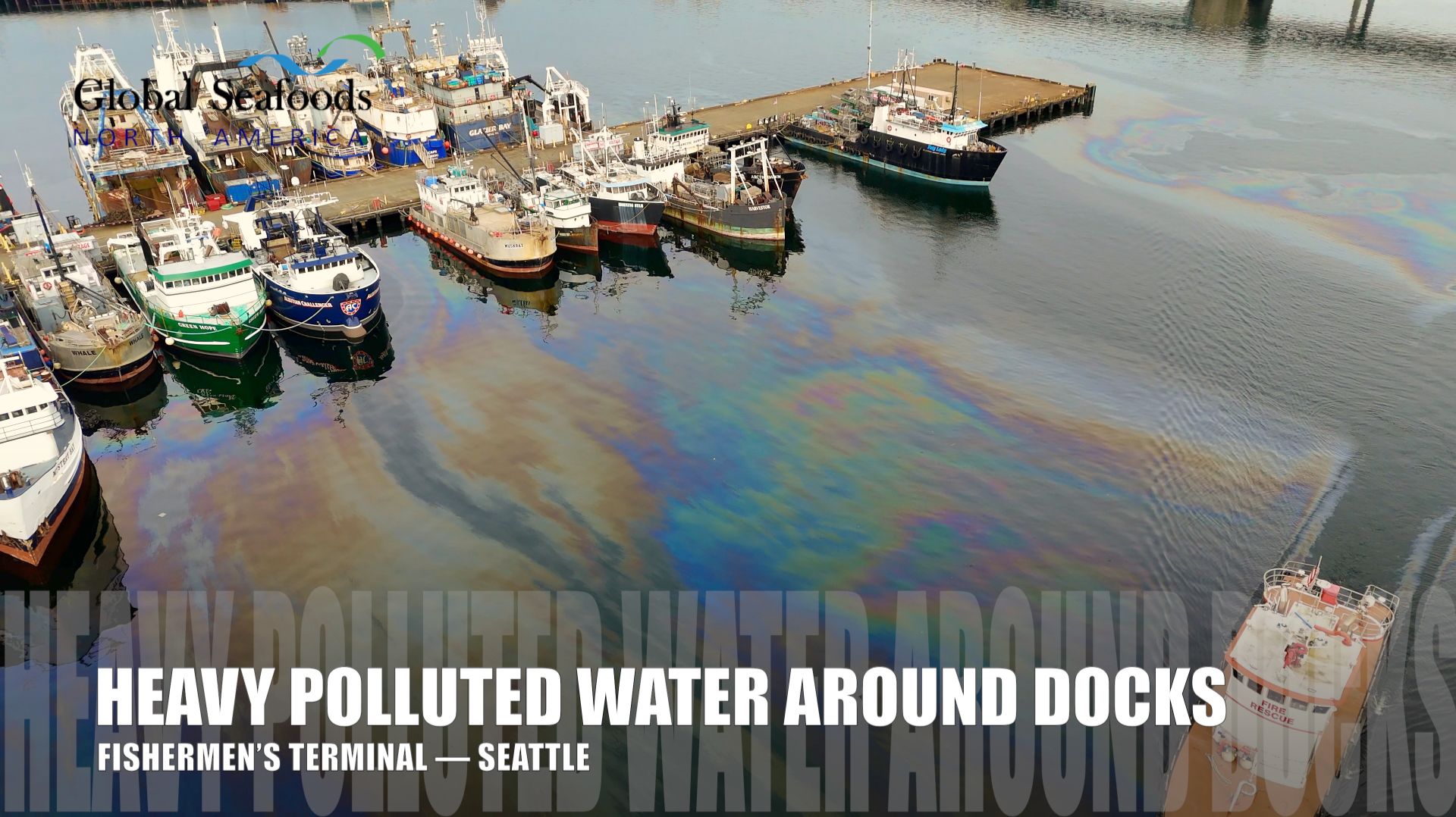 ⚠️ Серьёзное загрязнение в Fishermen’s Terminal, Сиэтл — почему загрязнение гавани игнорируется?