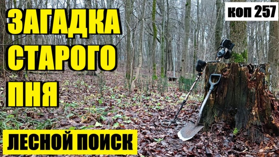 «ПОСЫЛКА» ИЗ ПРОШЛОГО: ЛЕС НЕ ПЕРЕСТАЁТ УДИВЛЯТЬ! коп 257 смотреть онлайн
