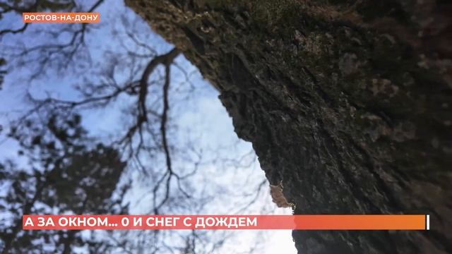 А за окном. 29 января 2026 смотреть онлайн