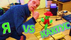 Кактус повторюшка против музыканта