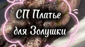 СП Платье для Золушки с Анжеликой Ботовой|отчет 2|январь