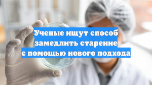 Ученые ищут способ замедлить старение с помощью нового подхода