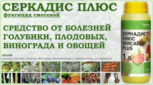 Серкадис Плюс - смесевой фунгицид от болезней голубики, плодовых деревьев, винограда и овощей. Обзор