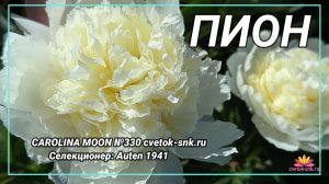 Травянистый "CAROLINA MOON"/Сад Ворошиловой