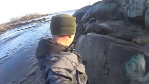 Рыбалка на сига в Арктике Столько сигов я давно неловил Все руки исколола рыба Белое море.