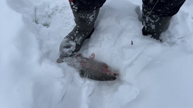 29-01-2026 смотреть онлайн