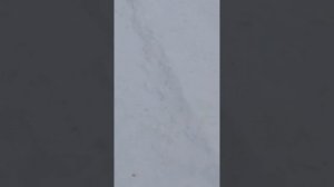 здеся прагулка светина природа пасматри 👍👍👍👍👍 👍👍👍👍👍