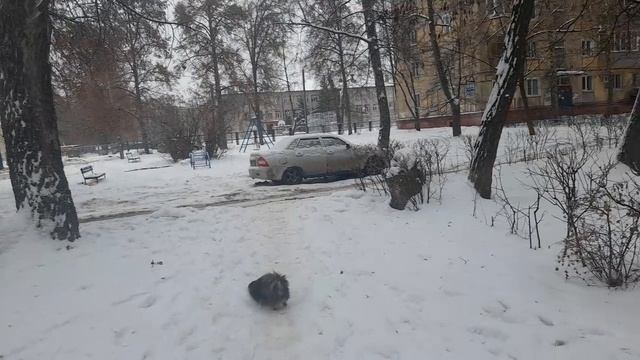 🖋️🚀БЛЕДНЫЙ ВИД И МАКАРОННАЯ ПОХОДКА, МАЛЫМ СОСТАВОМ💃🔥 МОИ БУДНИ 🖋️🚀 смотреть онлайн