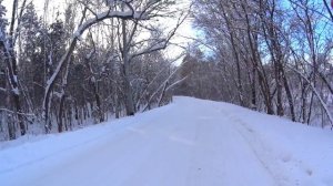 29-01-2026 прогулка по парку Гагарина