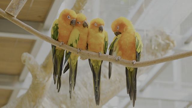  смотреть онлайн