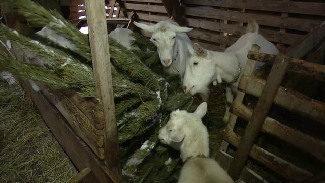 Саратов. Итоги | 24 января смотреть онлайн