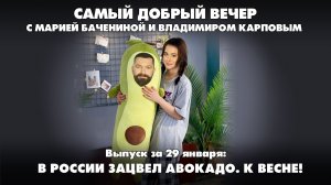 В России зацвел авокадо. К весне! | 29.01.2026