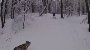 Буксировка лыжника (скиджорринг)