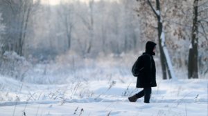 Вильфанд: к вечеру четверга осадки в Москве начнут постепенно утихать