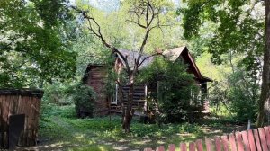 Природа Москвы