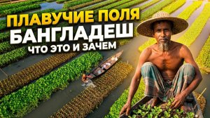 Плавучие поля бангладеш что это и зачем