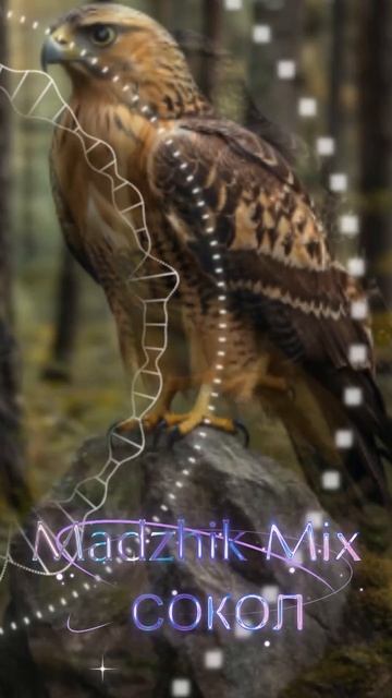 Madzhik Mix - Сокол смотреть онлайн