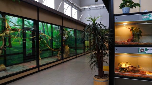 Зоопарк смотреть онлайн