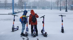 Эксперты оценили шансы на слияние Whoosh и «Юрент» после решения ФАС