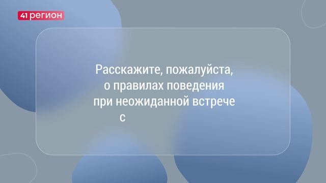 ИНТЕРВЬЮ ДНЯ • ВЛАДИМИР ШАБЛИЙ • ВЫПУСК №1 смотреть онлайн