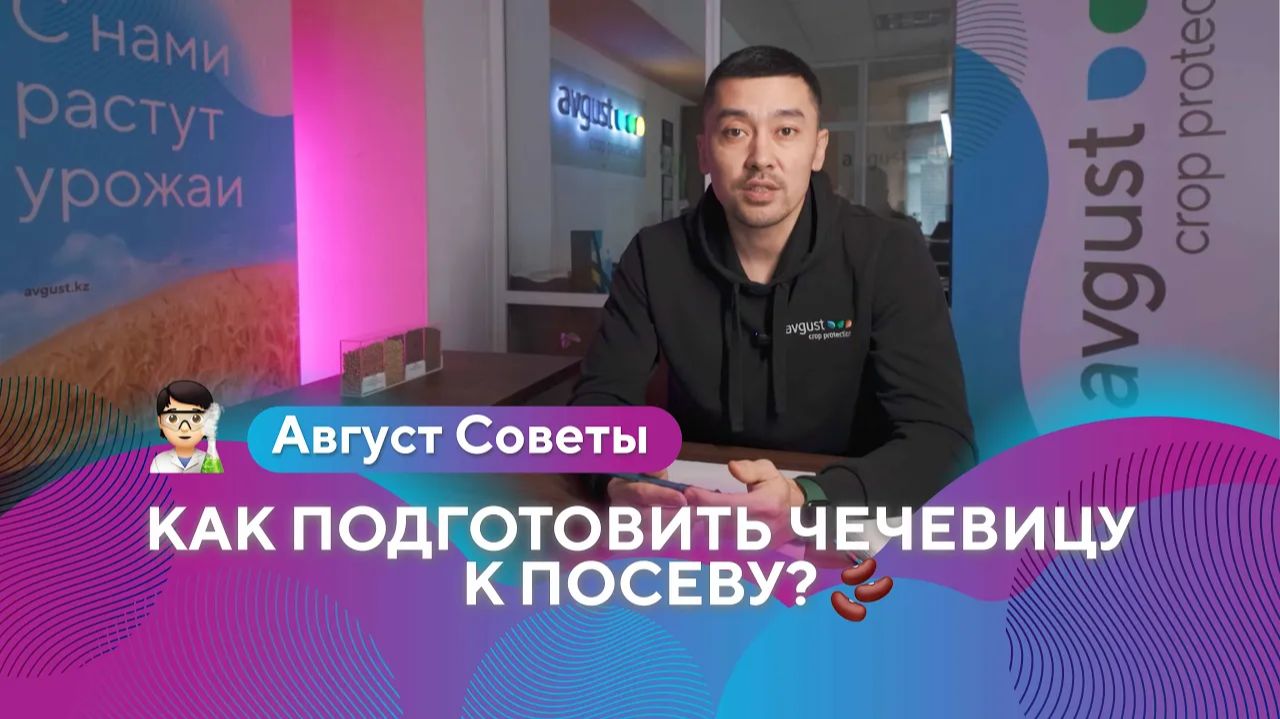 Как подготовить чечевицу к посеву: предпосевная обработка и надёжная схема защиты посевная