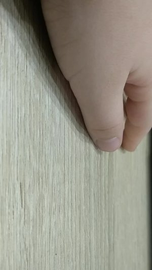 2 пахиц и 2 Ти рекс