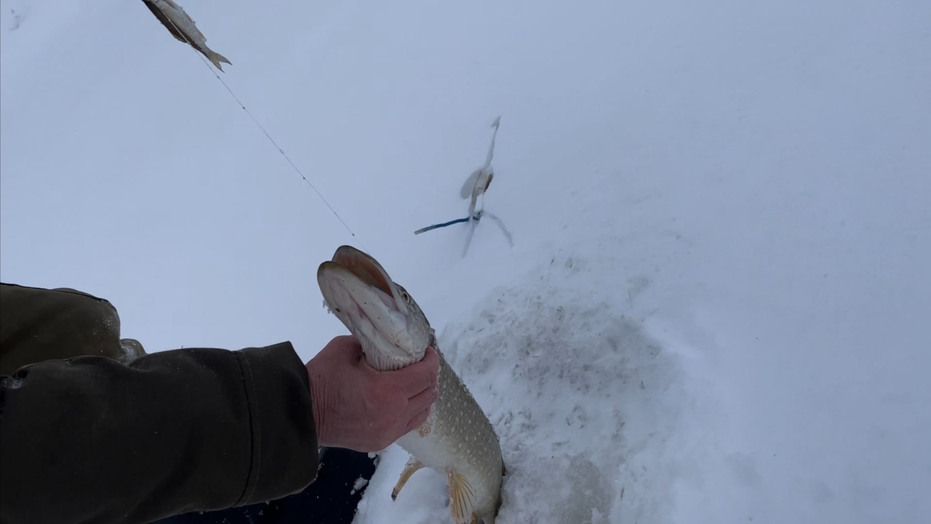 Ветер. Ловим щук... смотреть онлайн