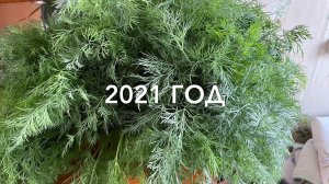 Большое мульчирование! Секретики от фитофторы