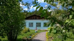 Служебный подлог