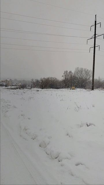 29.01.2026. На улице 0 - +1, снег! смотреть онлайн